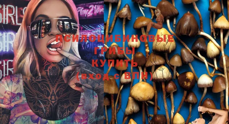 купить закладку  mega маркетплейс  Псилоцибиновые грибы Magic Shrooms  Владикавказ 